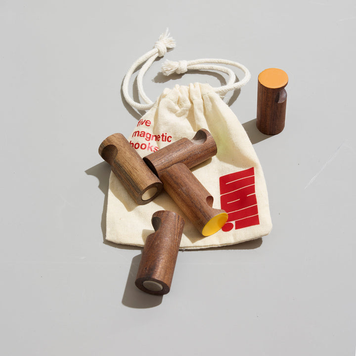 Set of 5 Magnetic Hooks - Oranges