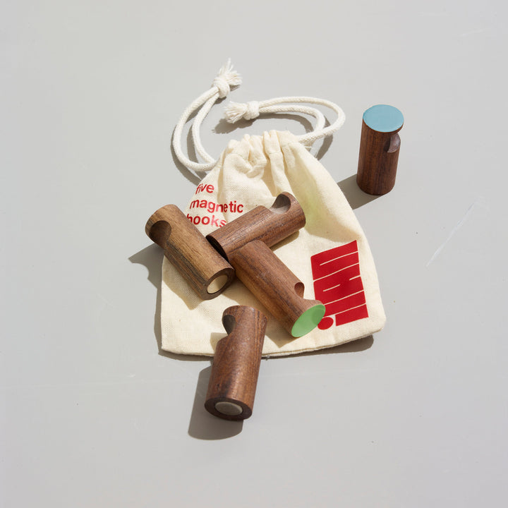 Set of 5 Magnetic Hooks - Multi-Color